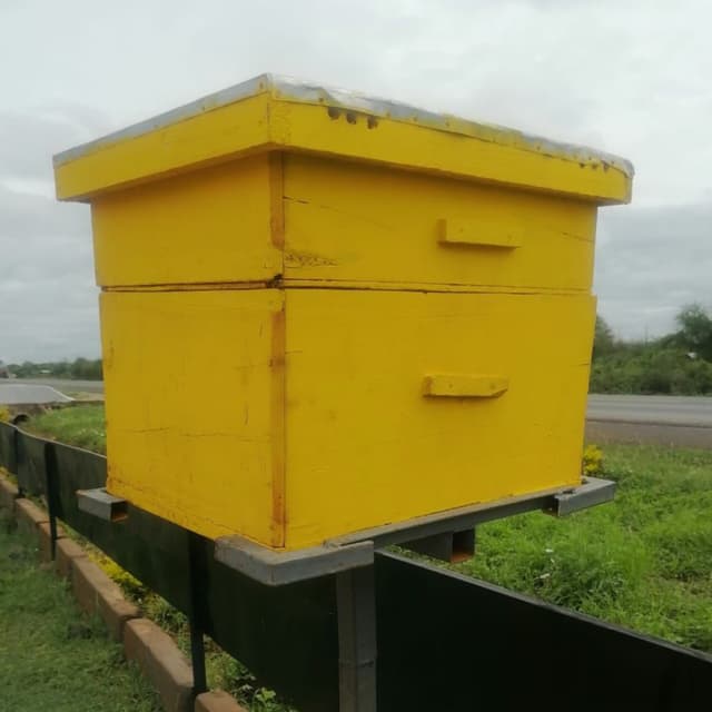 Modern Langstroth Bee Hive
